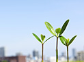 ISO14001