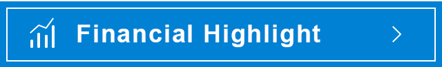 Financial Highlight