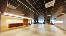 Corporate Information