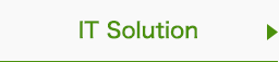 IT Solution