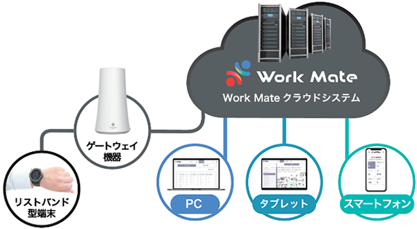 wCassia Networks Q[gEFC@ pVXe\}x