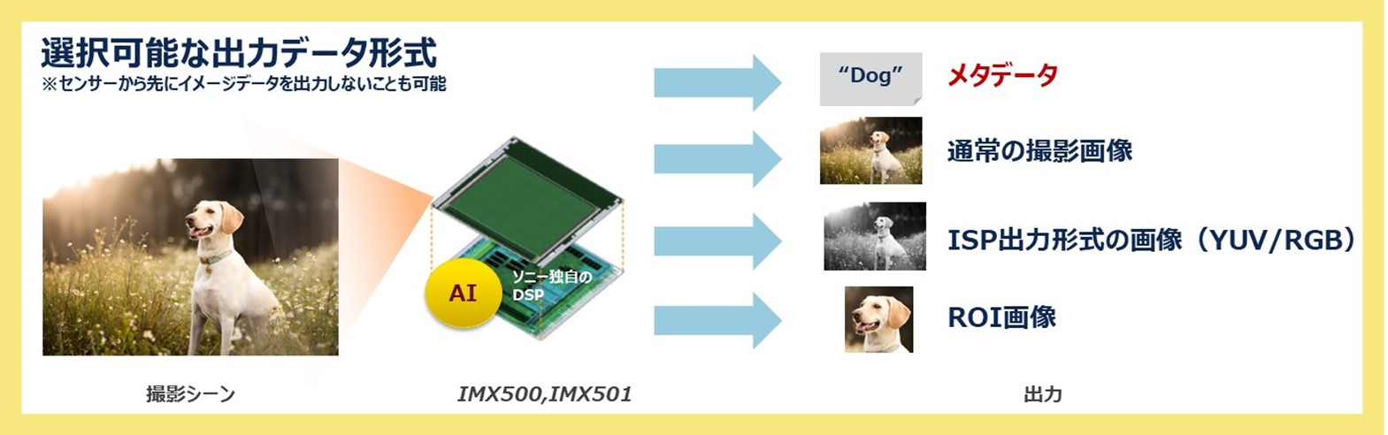 図2●ソニーのAI処理機能搭載イメージセンサーは、多彩なデータ出力が可能（出典：ソニー ニュースリリース）